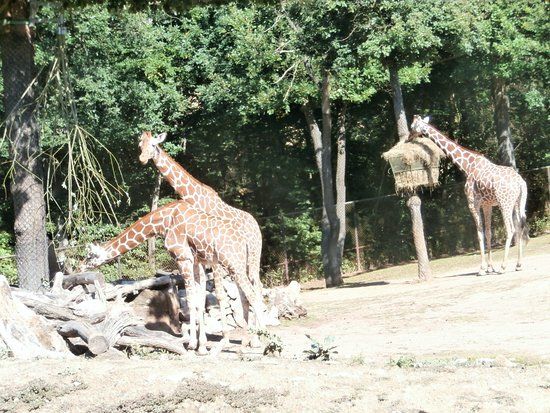 Ogród zoologiczny w Brnie